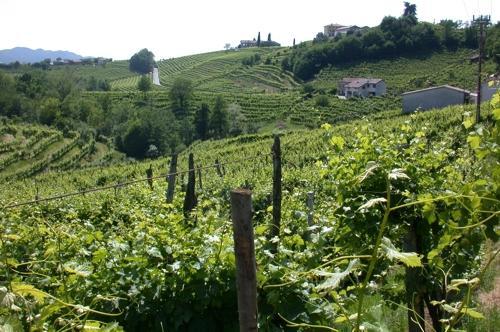 B&B Alla Pergola Valdobbiadene Exterior foto